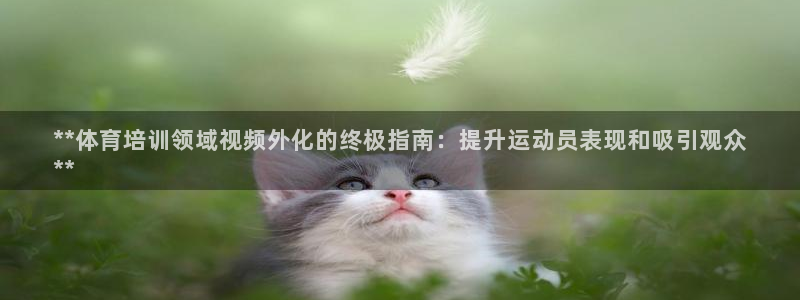 焦点娱乐官方网站下载安装苹果：**体育培训领域视频外