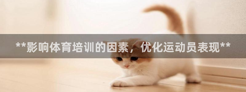 焦点娱乐是拉菲公司的吗是真的吗