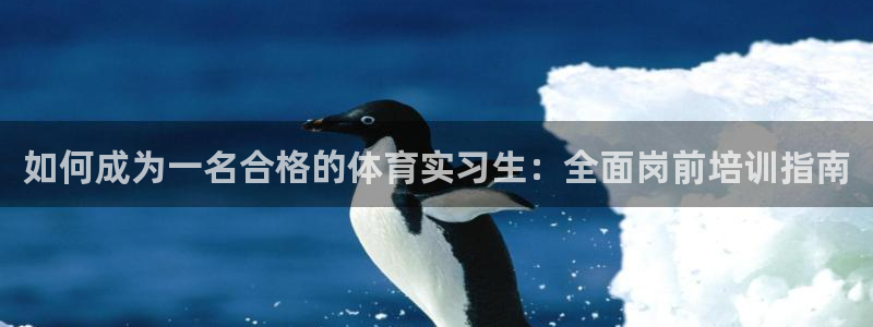 焦点娱乐是哪个公司的软件：如何成为一名合格的体育实习