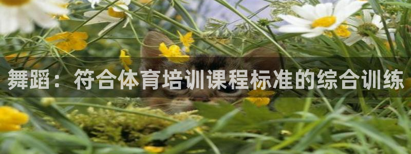 焦点娱乐平台客服