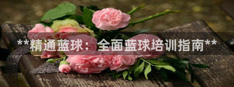 焦点娱乐平台供7O777：**精通蓝球：全面蓝球培训