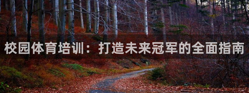 焦点娱乐有限公司官网