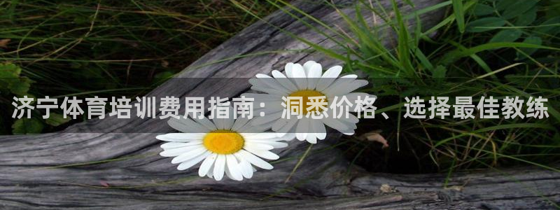 焦点娱乐官方网站入口在线观看