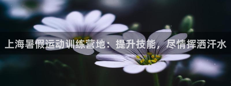 焦点娱乐app下载官网最新版：上海暑假运动训练营地：