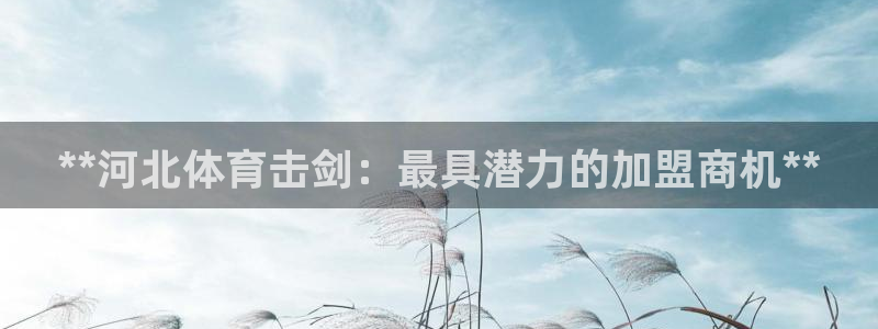 焦点娱乐不出款怎么回事：**河北体育击剑：最具潜力的