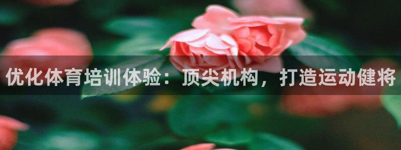 焦点娱乐是哪个公司的软件：优化体育培训体验：顶尖机构