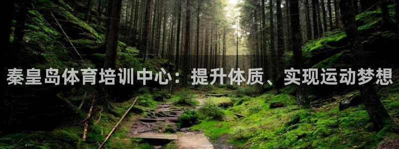 焦点娱乐公司：秦皇岛体育培训中心：提升体质、实现运动