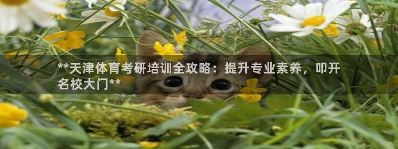 焦点娱乐加速器下载