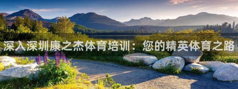 焦点娱乐拉菲11：深入深圳康之杰体育培训：您的精英体