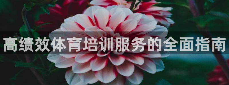 焦点娱乐力 411o31 焦点：高绩效体育培训服务的