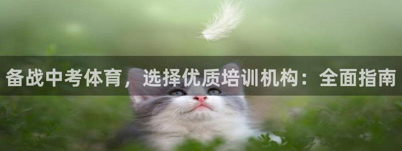 焦点娱乐下载手机版官网：备战中考体育，选择优质培训机