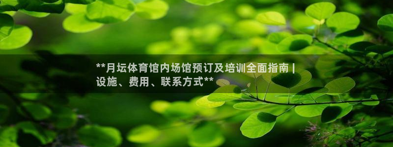焦点娱乐公司：**月坛体育馆内场馆预订及培训全面指南