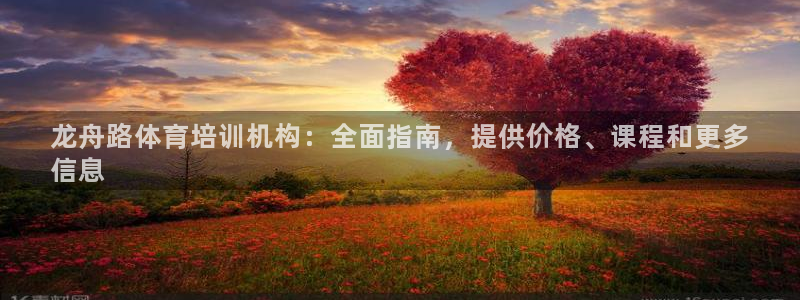 焦点娱乐传媒有限公司官网招聘：龙舟路体育培训机构：全