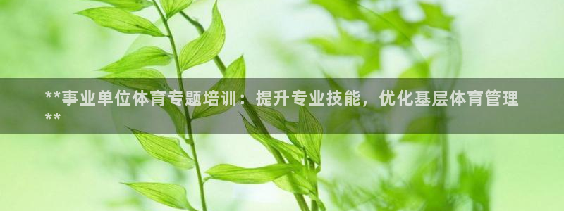 焦点娱乐官方网站下载安装手机版