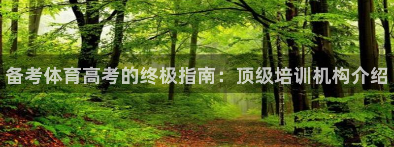 焦点娱乐传媒有限公司怎么样啊赚钱吗