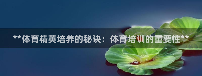焦点娱乐网站下载地址：**体育精英培养的秘诀：体育培