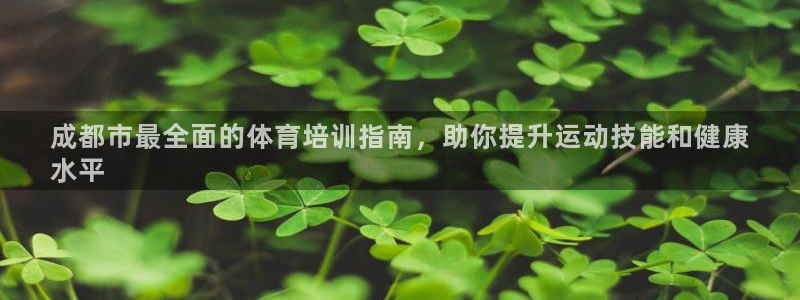 焦点娱乐平台西7O777：成都市最全面的体育培训指南