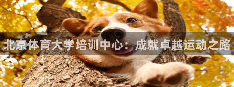 焦点娱乐官方网站下载：北京体育大学培训中心：成就卓越