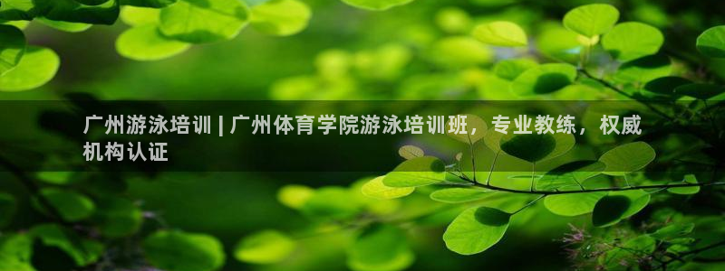 焦点娱乐公司是干嘛的：广州游泳培训 | 广州体育学院