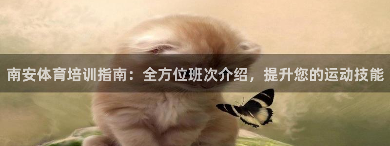焦点娱乐下载手机版：南安体育培训指南：全方位班次介绍