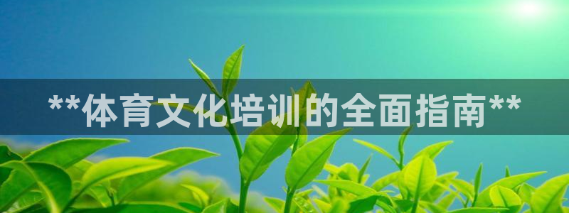 焦点娱乐传媒有限公司招聘：**体育文化培训的全面指南
