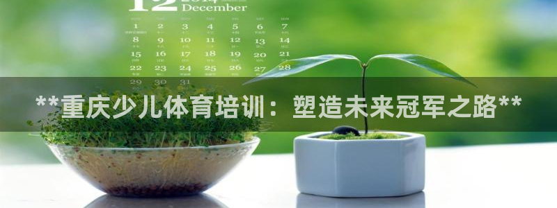 焦点娱乐官网下载苹果