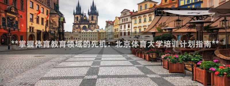 焦点娱乐营7O777：**掌握体育教育领域的先机：北