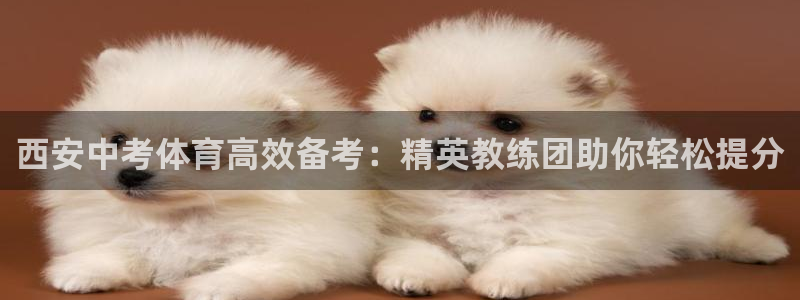 焦点娱乐平台章7O777：西安中考体育高效备考：精英