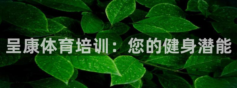 焦点娱乐是黑平台吗：呈康体育培训：您的健身潜能