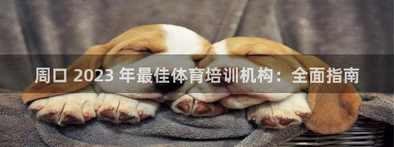 焦点娱乐开发：周口 2023 年最佳体育培训机构：全