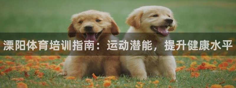 焦点娱乐股东有哪些：溧阳体育培训指南：运动潜能，提升