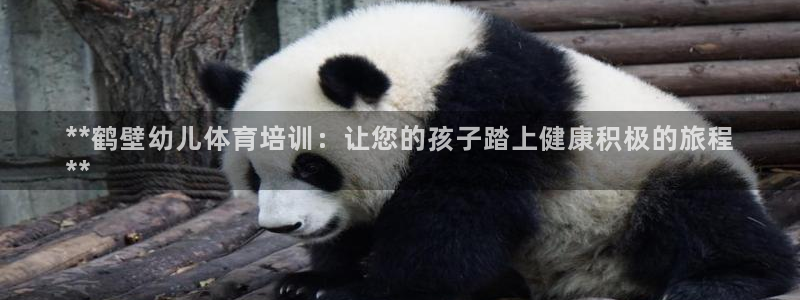 焦点娱乐下载手机版最新版：**鹤壁幼儿体育培训：让您