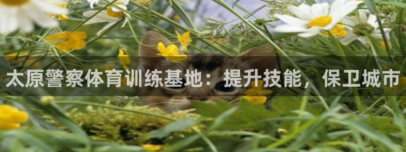 焦点娱乐游戏：太原警察体育训练基地：提升技能，保卫城
