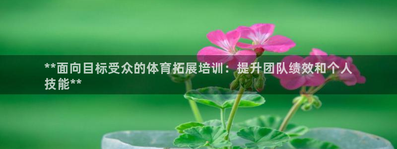 焦点娱乐跨服怎么玩：**面向目标受众的体育拓展培训：