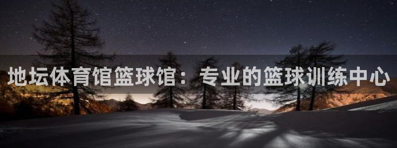 焦点娱乐公司简介图片：地坛体育馆篮球馆：专业的篮球训