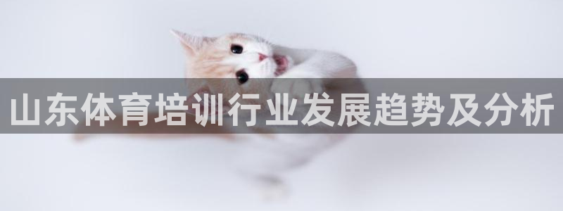 焦点娱乐无法提现怎么办：山东体育培训行业发展趋势及分
