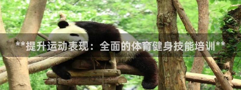 焦点娱乐官网下载安装手机版最新：**提升运动表现：全