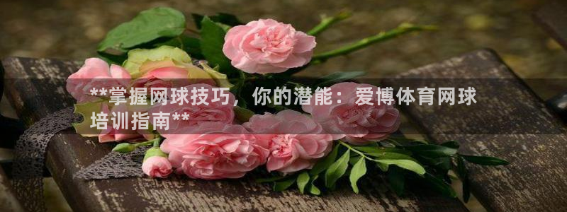 焦点娱乐传媒有限公司：**掌握网球技巧，你的潜能：爱