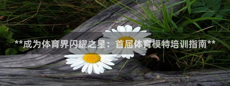 焦点娱乐拉菲11月12日：**成为体育界闪耀之星：首