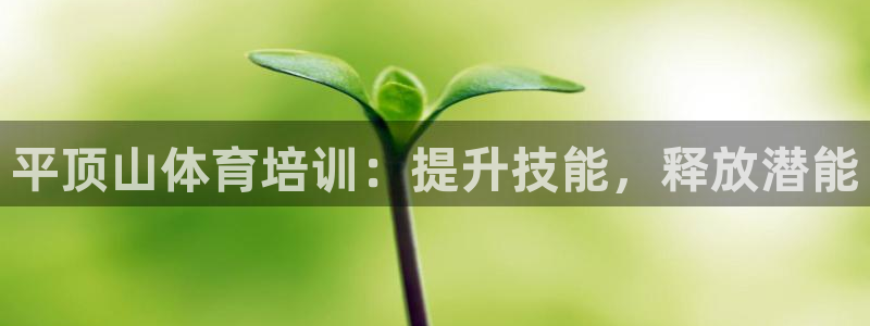 焦点娱乐游戏：平顶山体育培训：提升技能，释放潜能