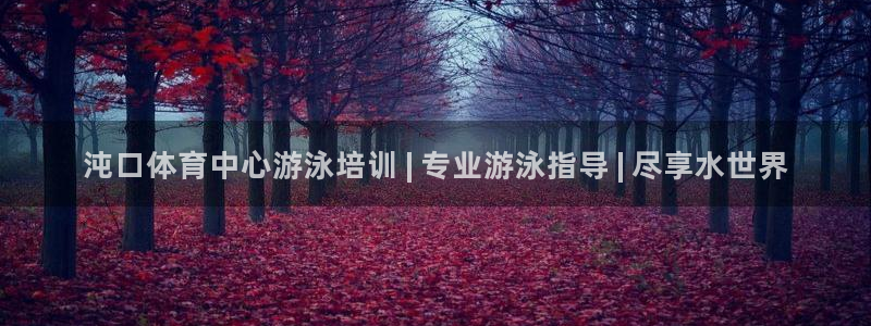 焦点娱乐平台客服电话：沌口体育中心游泳培训 | 专业