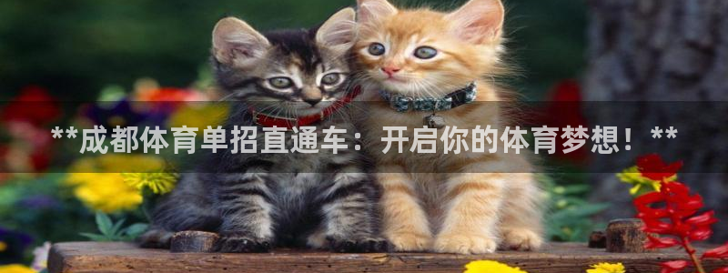 焦点娱乐平台例7O777：**成都体育单招直通车：开