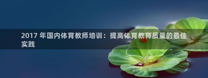 焦点娱乐公司的发展历程简述：2017 年国内体育教师