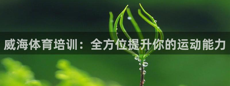 焦点娱乐加速器下载：威海体育培训：全方位提升你的运动