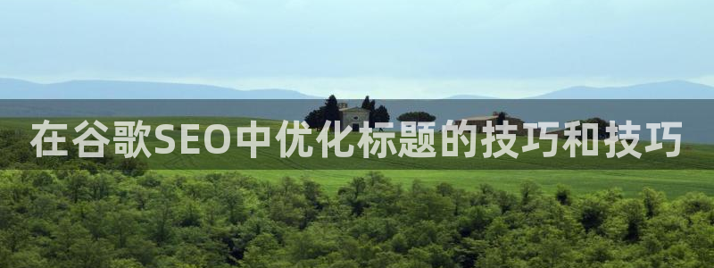 焦点娱乐平台章7O777：在谷歌SEO中优化标题的技