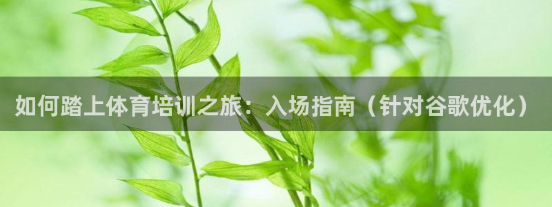 焦点娱乐平台账号在哪注册的：如何踏上体育培训之旅：入