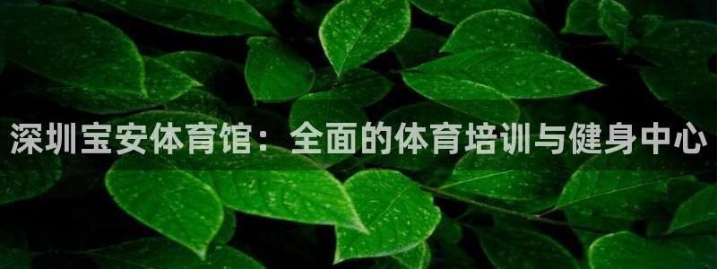 焦点娱乐股东：深圳宝安体育馆：全面的体育培训与健身中心