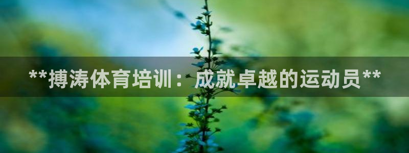焦点娱乐星：**搏涛体育培训：成就卓越的运动员**