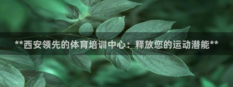 焦点娱乐传媒有限公司官网：**西安领先的体育培训中心：释放您