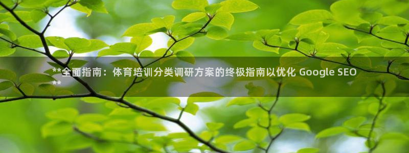 焦点娱乐平台是正规的吗安全吗可靠吗：**全面指南：体